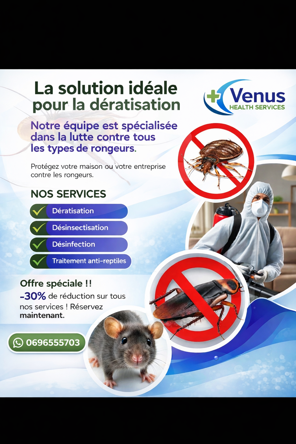 Dératisation Désinsectisation