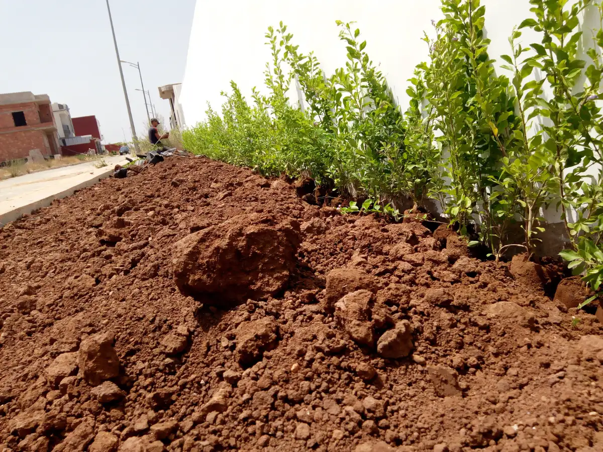 عبدو سماعيلي photo 4