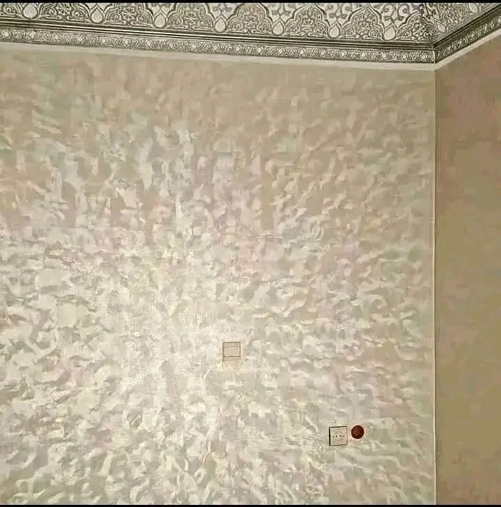 صورة صباغ محترف 