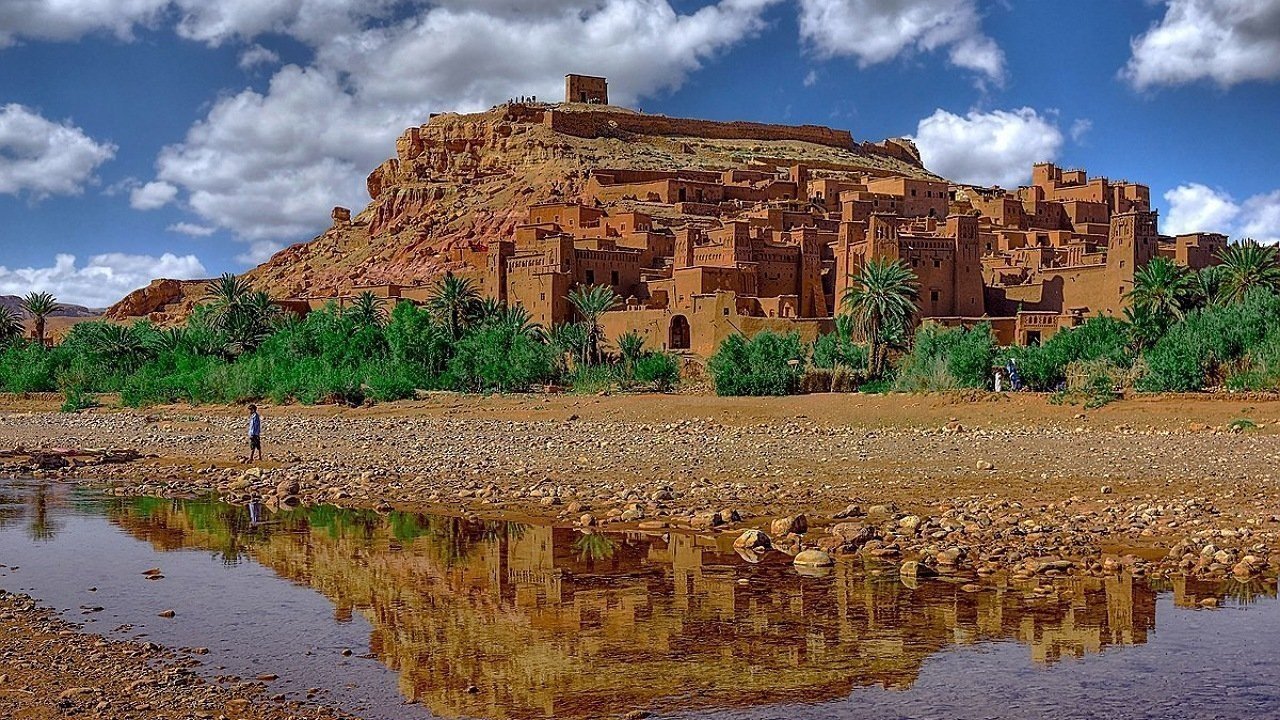 يونس اللحياني photo 4