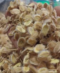 الكمون الصوفي