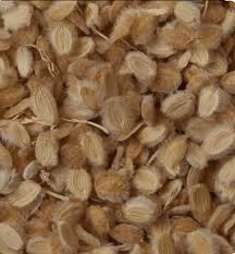 الكمون الصوفي