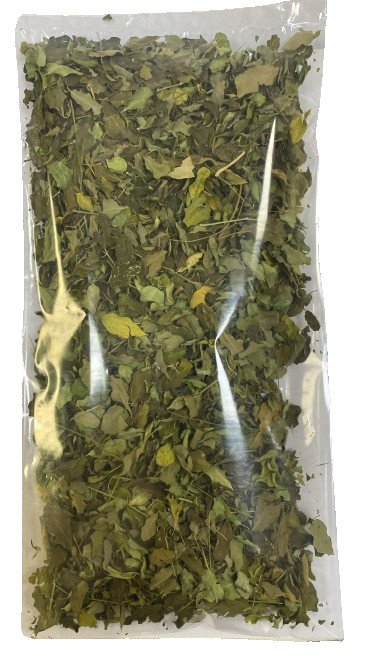 أوراق المورينجا الأصلية