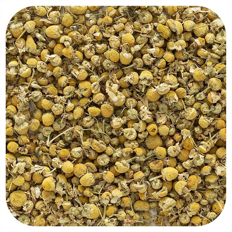 البابونج المغربي الأصيل