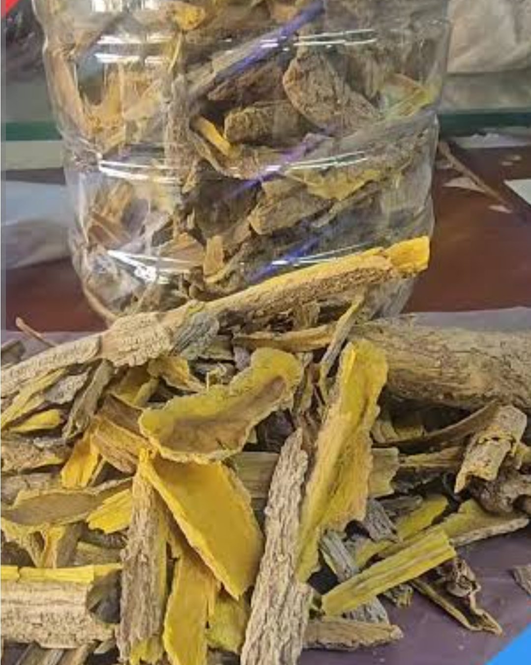 عود اغريس الأصيل