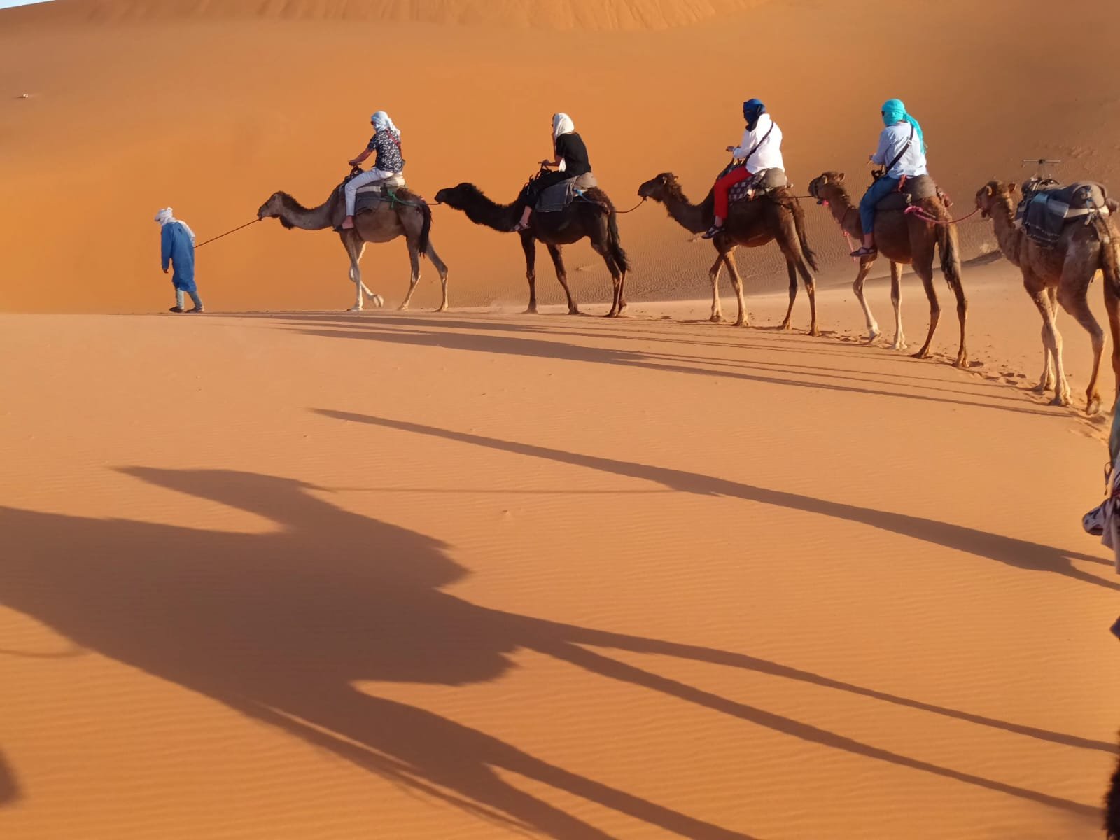 بعد إنجاز العمل - إصلاح الهاتف